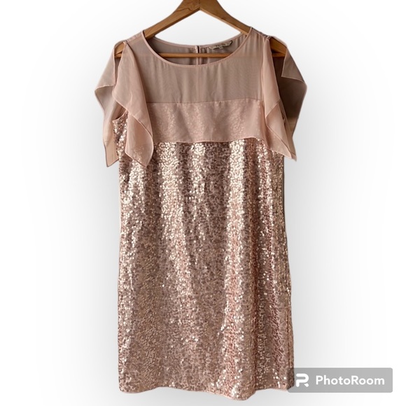 RW&CO Rose Gold Sequined Sheath Dress Size Small - Picture 1 of 11